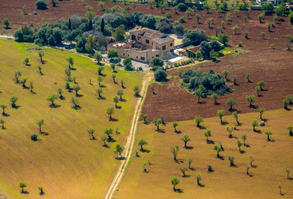 Aerial image Palma - Holiday house plant of the park - Finca in the district Son Sardina in Palma in Balearic island of Mallorca, Spain