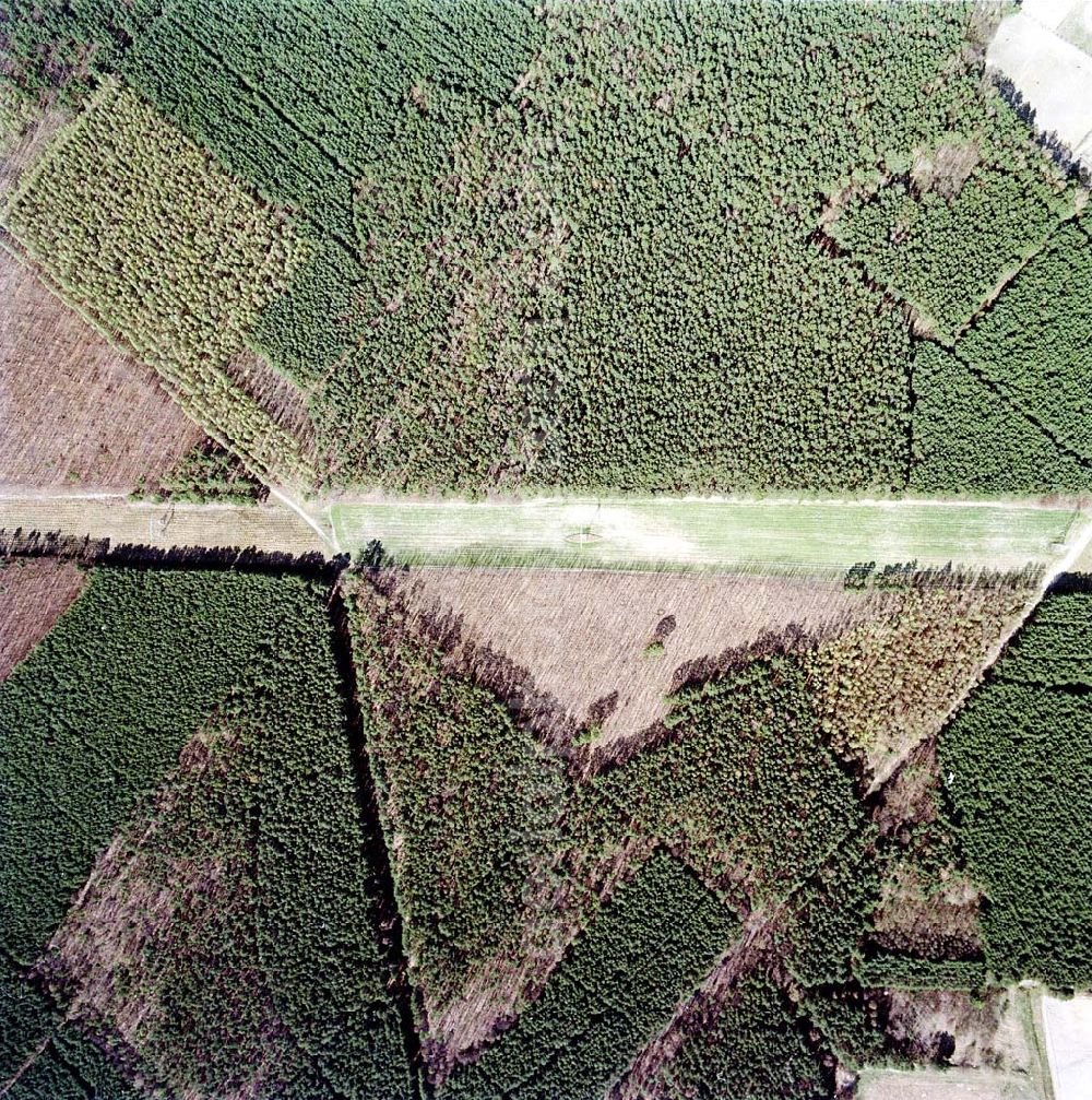 Aerial image Mehrow - Ferntrassen und Waldfächen bei Mehrow in Brandenburg