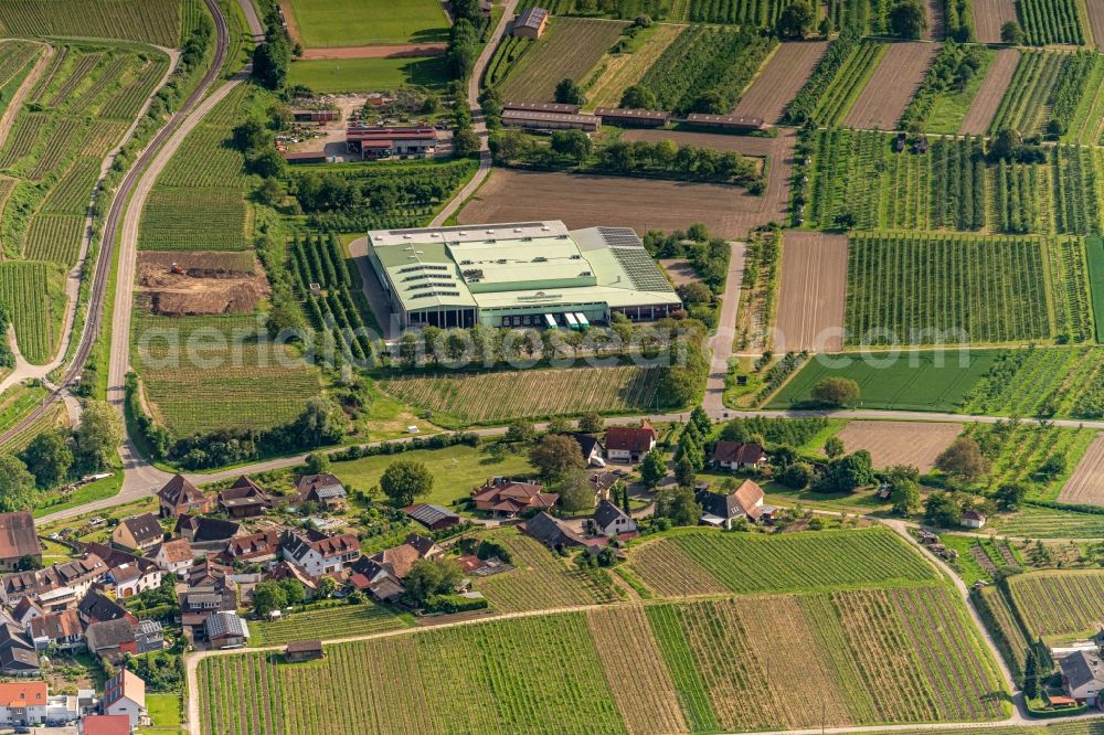 Aerial photograph Vogtsburg im Kaiserstuhl - Company grounds and facilities of Des Erzeugermarktes Suedbaden e:g in Vogtsburg im Kaiserstuhl in the state Baden-Wurttemberg, Germany