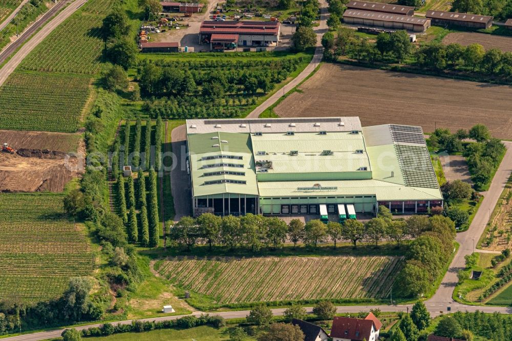 Vogtsburg im Kaiserstuhl from above - Company grounds and facilities of Des Erzeugermarktes Suedbaden e:g in Vogtsburg im Kaiserstuhl in the state Baden-Wurttemberg, Germany