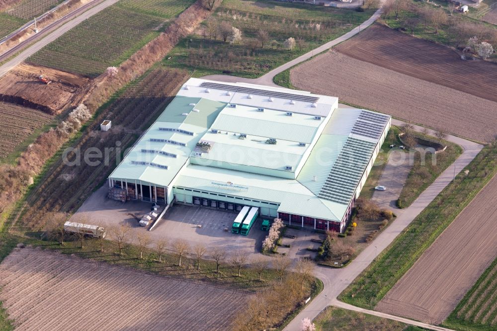 Vogtsburg im Kaiserstuhl from the bird's eye view: Company grounds and facilities of Des Erzeugermarktes Suedbaden e:g in Vogtsburg im Kaiserstuhl in the state Baden-Wurttemberg, Germany