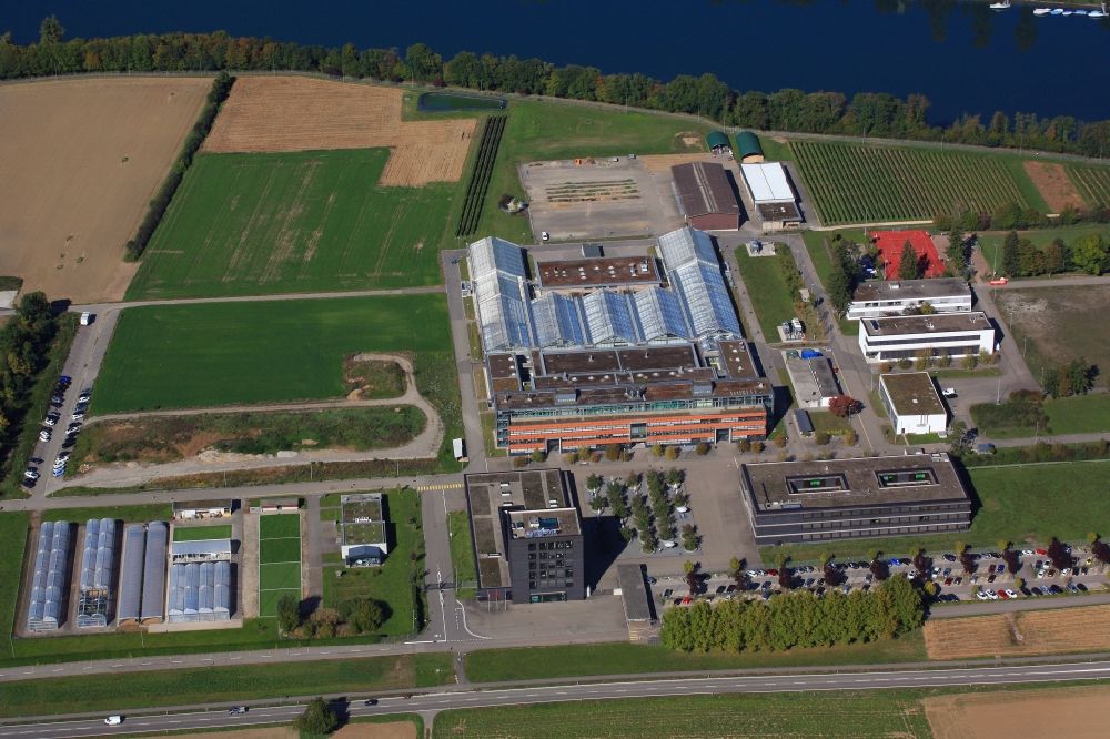 Aerial photograph Stein - Company grounds and research and development facilities of Syngenta Crop Protection in Stein in the canton Aargau, Switzerland