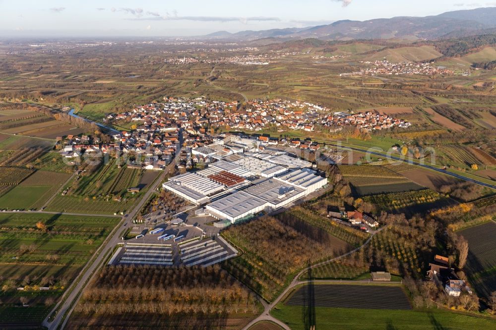 Aerial photograph Stadelhofen - Company grounds and facilities of Progress-Werk Oberkirch AG in Stadelhofen in the state Baden-Wurttemberg, Germany