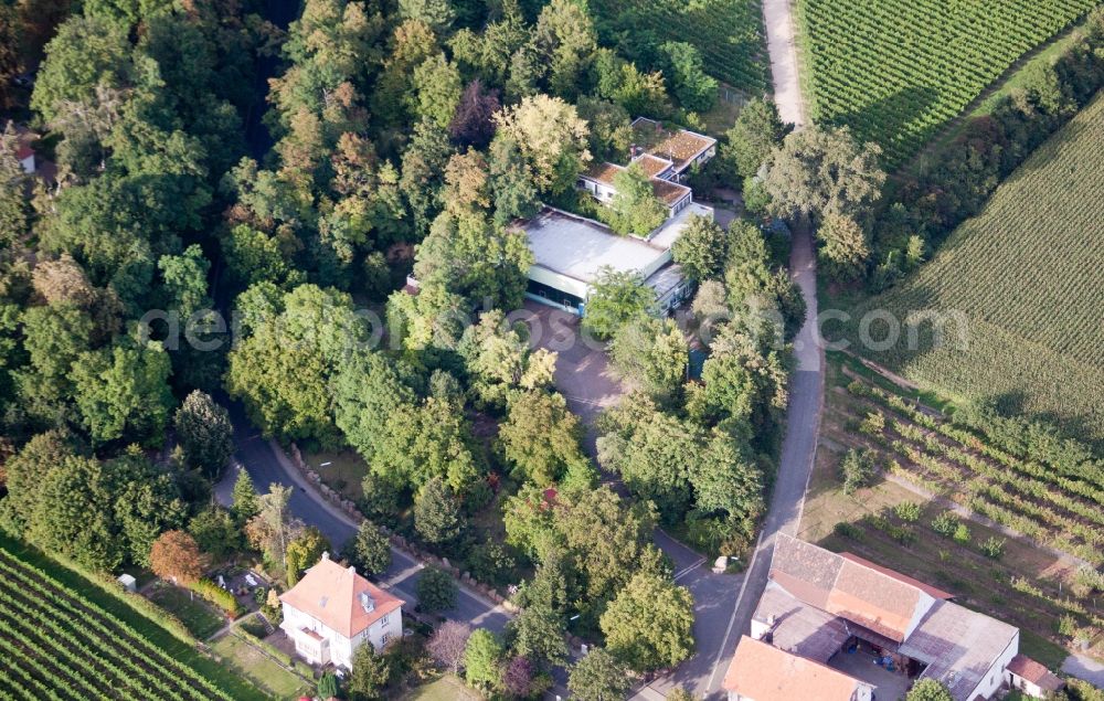 Aerial image Landau in der Pfalz - Company grounds and facilities of SEKA Schutzbelueftung GmbH in the district Wollmesheim in Landau in der Pfalz in the state Rhineland-Palatinate, Germany
