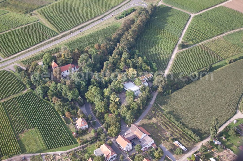Aerial photograph Landau in der Pfalz - Company grounds and facilities of SEKA Schutzbelueftung GmbH in the district Wollmesheim in Landau in der Pfalz in the state Rhineland-Palatinate, Germany