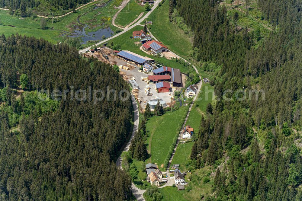 Aerial photograph Eisenbach (Hochschwarzwald) - Company grounds and facilities of Zipfel GmbH Saegewerk and Holzhandlung in Eisenbach (Hochschwarzwald) in the state Baden-Wuerttemberg, Germany