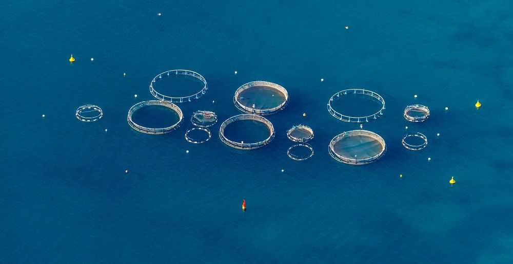 Andratx from the bird's eye view: Industrial fish farming in the district Port Andfratx in Andratx in Balearic Islands, Mallorca, Spain