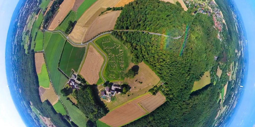 Aerial image Selm - Fisheye perspective maze - Labyrinth with the outline of peace symbols on the occasion of the war in Ukraine in a field in Selm in the state North Rhine-Westphalia, Germany