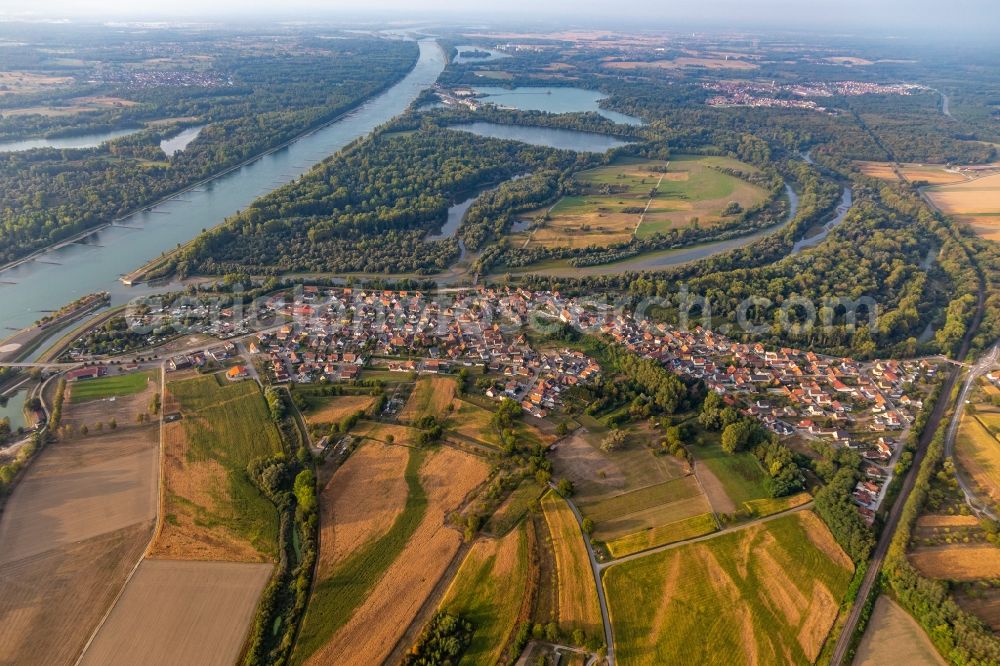 Aerial photograph Munchhausen - River Delta and estuary of Lauter in den Rhein in Munchhausen in Grand Est, France