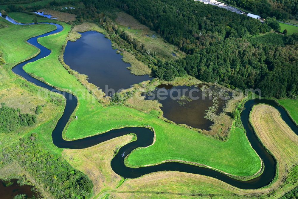 Aerial photograph Trollenhagen - Meandering, serpentine curve of river Tollense in Trollenhagen in the state Mecklenburg - Western Pomerania, Germany