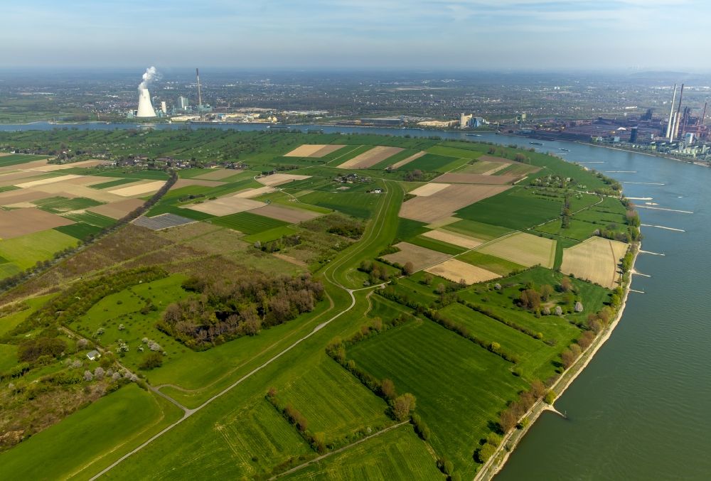 Duisburg, Baerl from the bird's eye view: Meadow scenery on the shore of the Rhine with Baerl in Duisburg in the federal state North Rhine-Westphalia