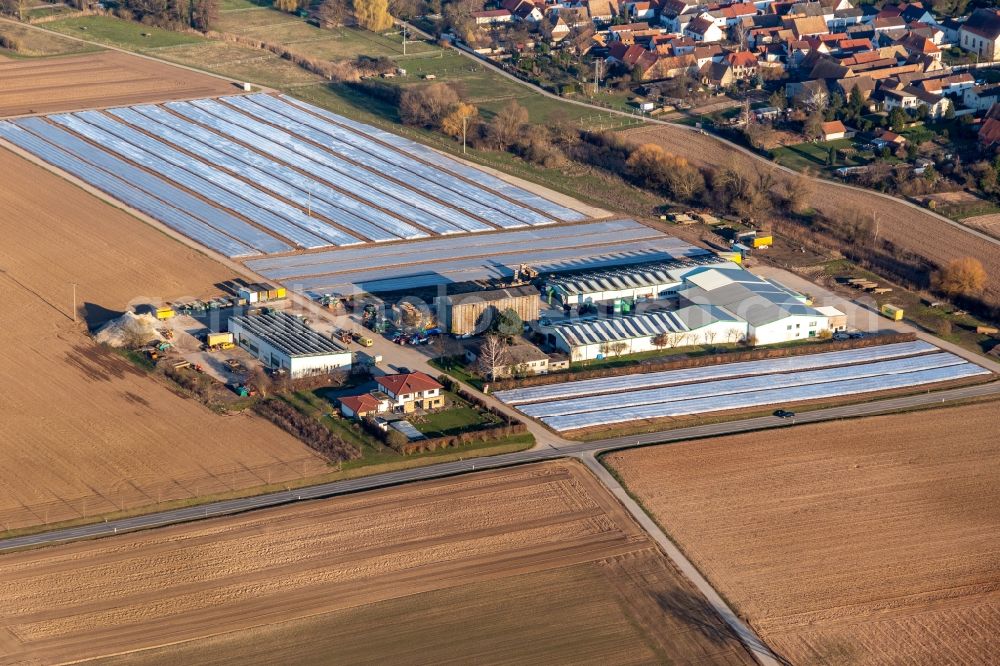 Aerial image Freisbach - Foil covering vegetable growing ranks of Grafenlaender Gemuese in Freisbach in the state Rhineland-Palatinate, Germany