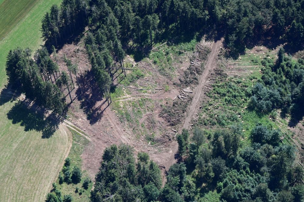 Aerial image Herrischried - Forest works done by harvester in a spruce fir forest in the Black Forest in Herrischried in the state Baden-Wurttemberg, Germany