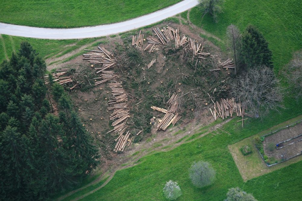 Aerial photograph Wehr - Forest works on spruce trees in Wehr in the state Baden-Wuerttemberg. The trees were damaged by bark beetle infestation