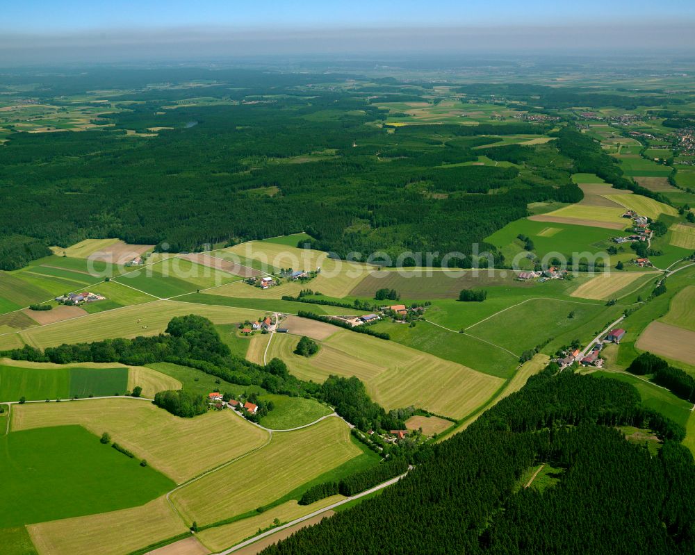 Berg from above - Forest areas in in Berg in the state Baden-Wuerttemberg, Germany
