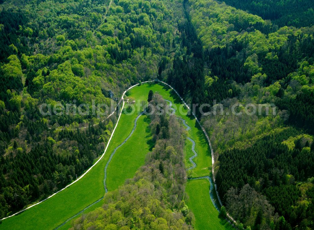 Aerial image Bernstadt - Forest areas in in Bernstadt in the state Baden-Wuerttemberg, Germany