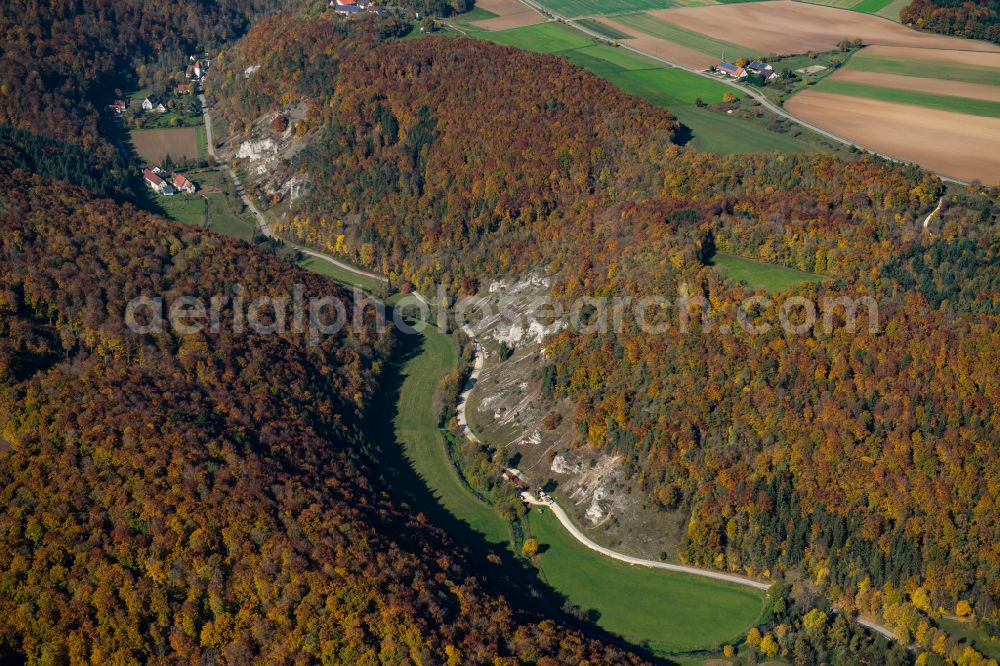 Aerial image Blaustein - Forest areas in in Blaustein in the state Baden-Wuerttemberg, Germany