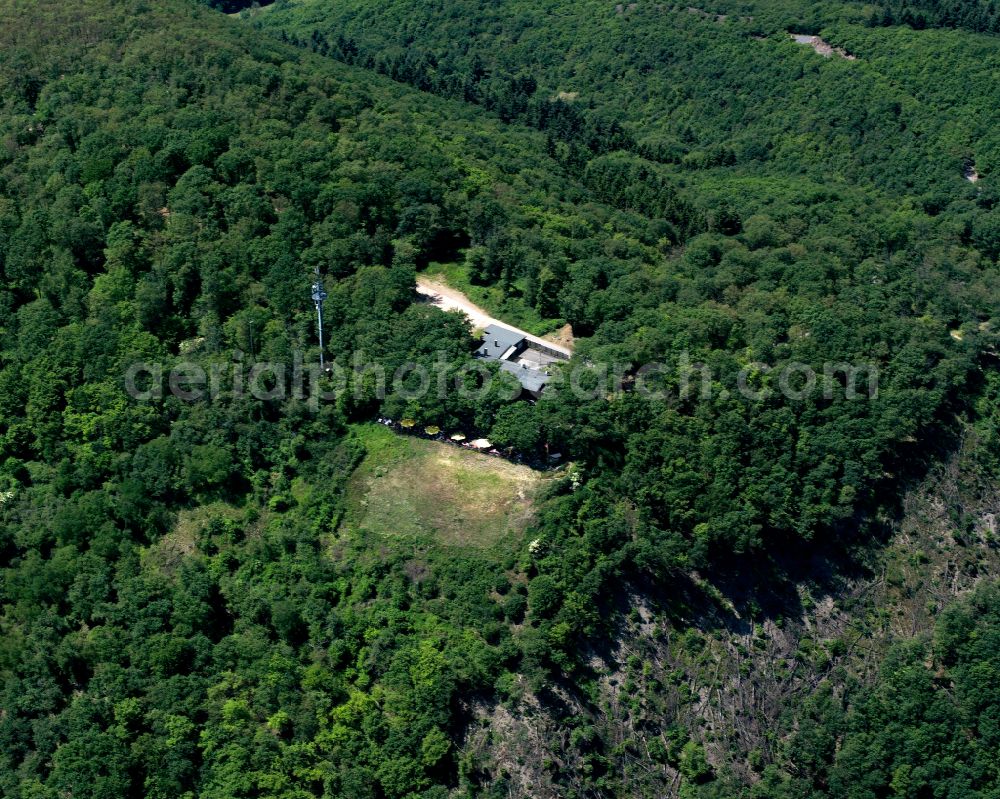Aerial photograph Boppard - Forest areas in in Boppard in the state Rhineland-Palatinate, Germany