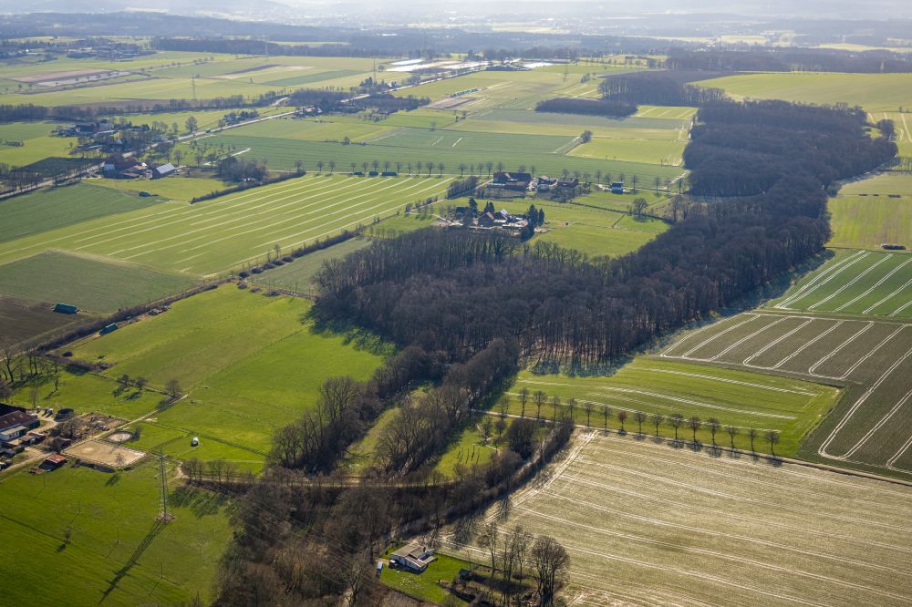 Aerial photograph Billmerich - Forest areas in Bornekamptal near Billmerich at Ruhrgebiet in the state North Rhine-Westphalia, Germany