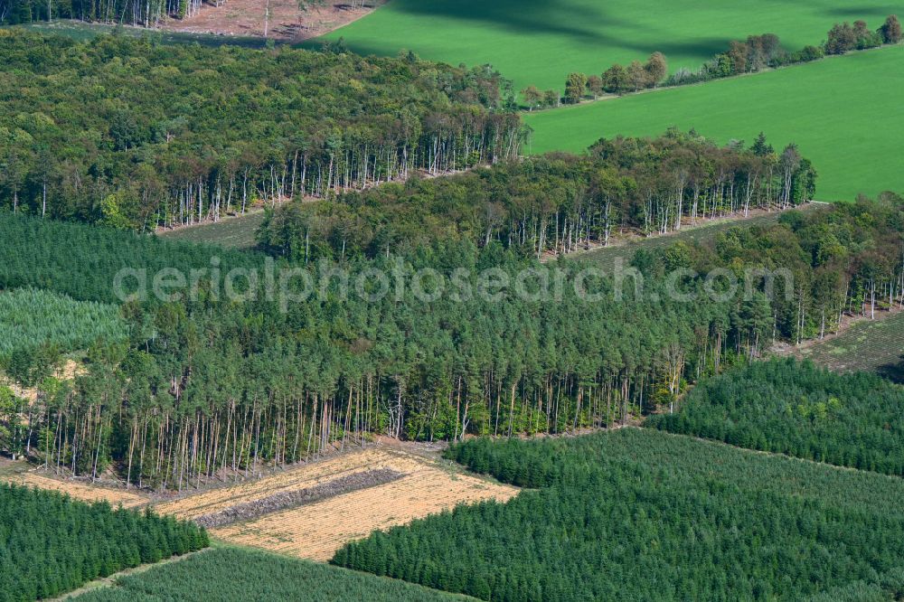 Crivitz from the bird's eye view: Forest areas in in Crivitz in the state Mecklenburg - Western Pomerania, Germany