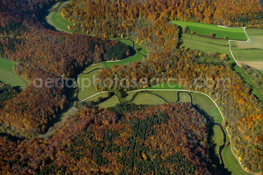 Ehingen (Donau) from above - Forest areas in in Ehingen (Donau) in the state Baden-Wuerttemberg, Germany