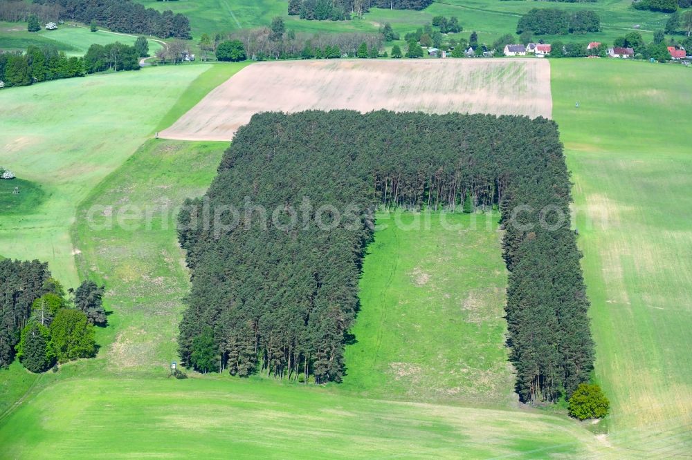 Altthymen from above - Forest areas in on a field in Altthymen in the state Brandenburg, Germany