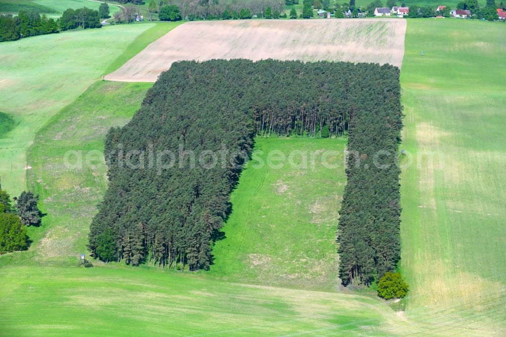 Altthymen from the bird's eye view: Forest areas in on a field in Altthymen in the state Brandenburg, Germany