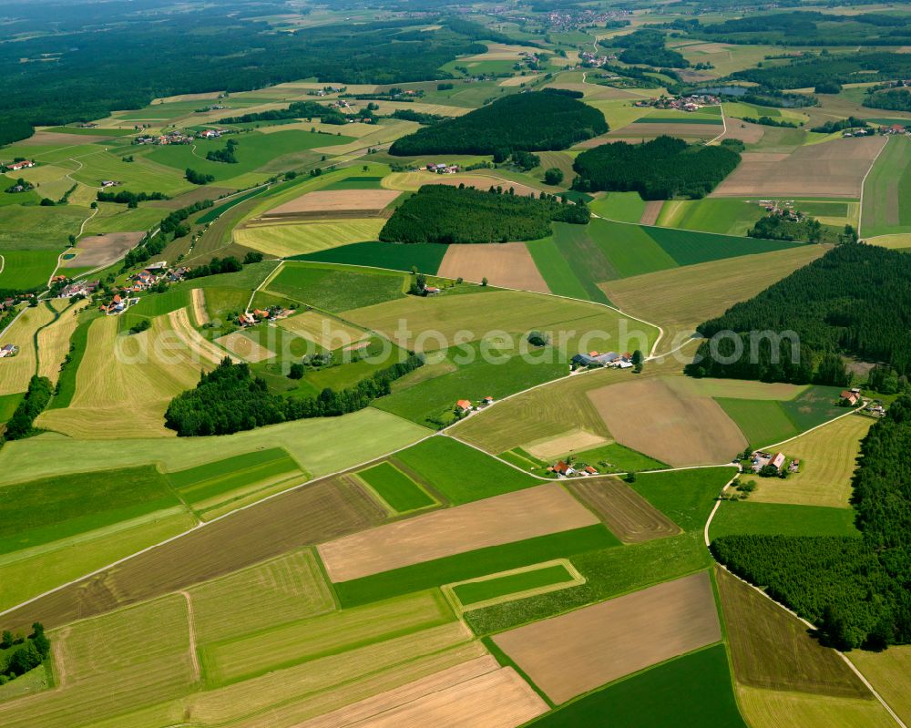Aerial image Ellwangen - Forest areas in in Ellwangen in the state Baden-Wuerttemberg, Germany