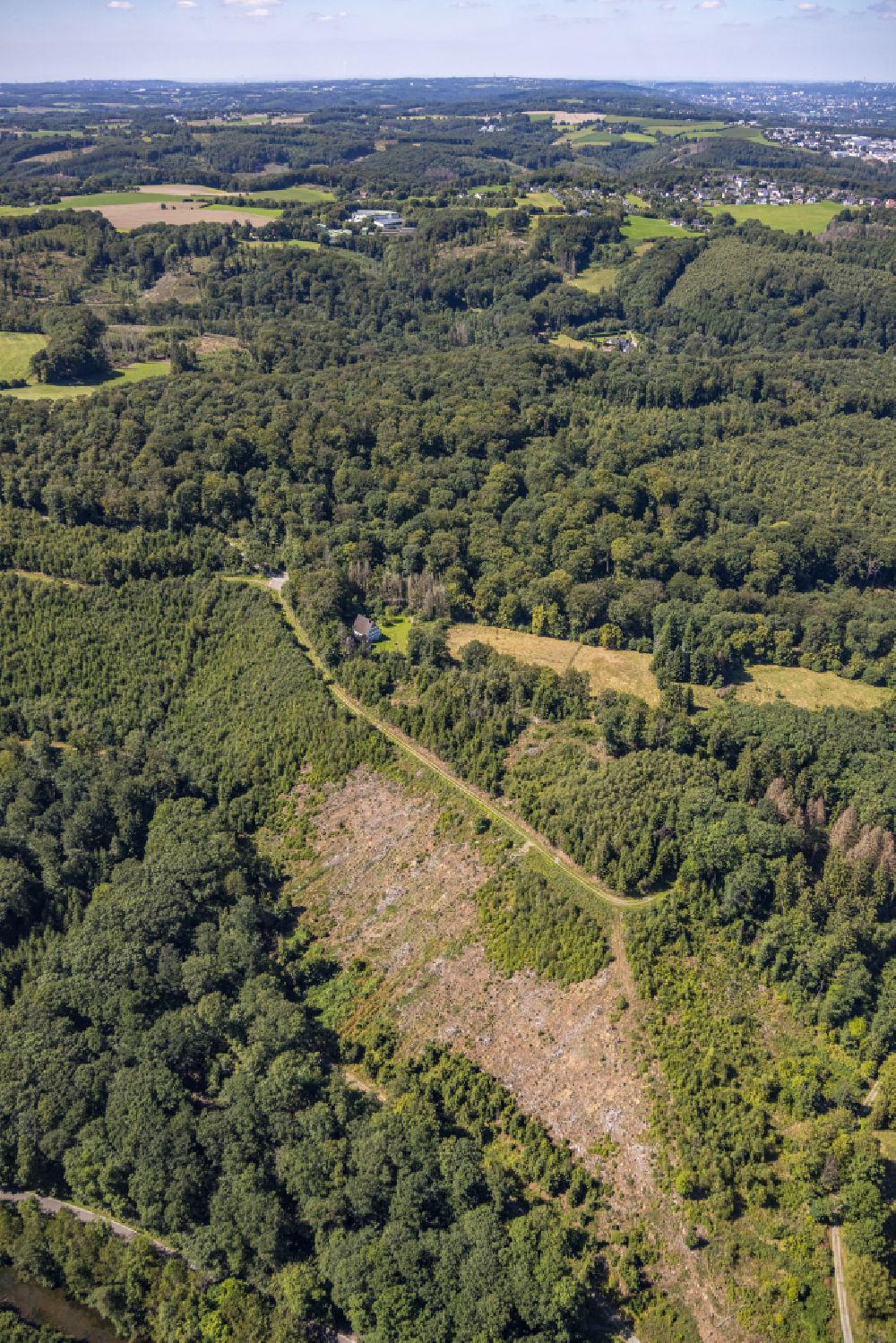 Ennepetal from the bird's eye view: Forest areas in in Ennepetal in the state North Rhine-Westphalia, Germany