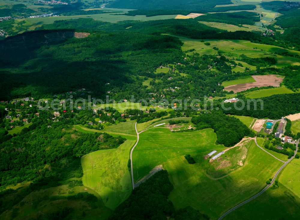 Falkenstein from above - Forest areas in in Falkenstein in the state Rhineland-Palatinate, Germany