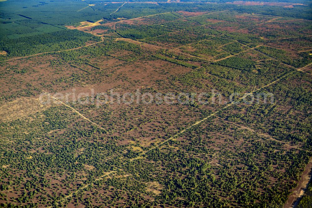 Aerial photograph Flecken Zechlin - Forest areas in in Flecken Zechlin in the state Brandenburg, Germany