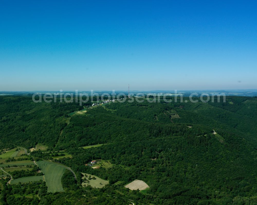 Fleckertshöhe from above - Forest areas in in Fleckertshöhe in the state Rhineland-Palatinate, Germany