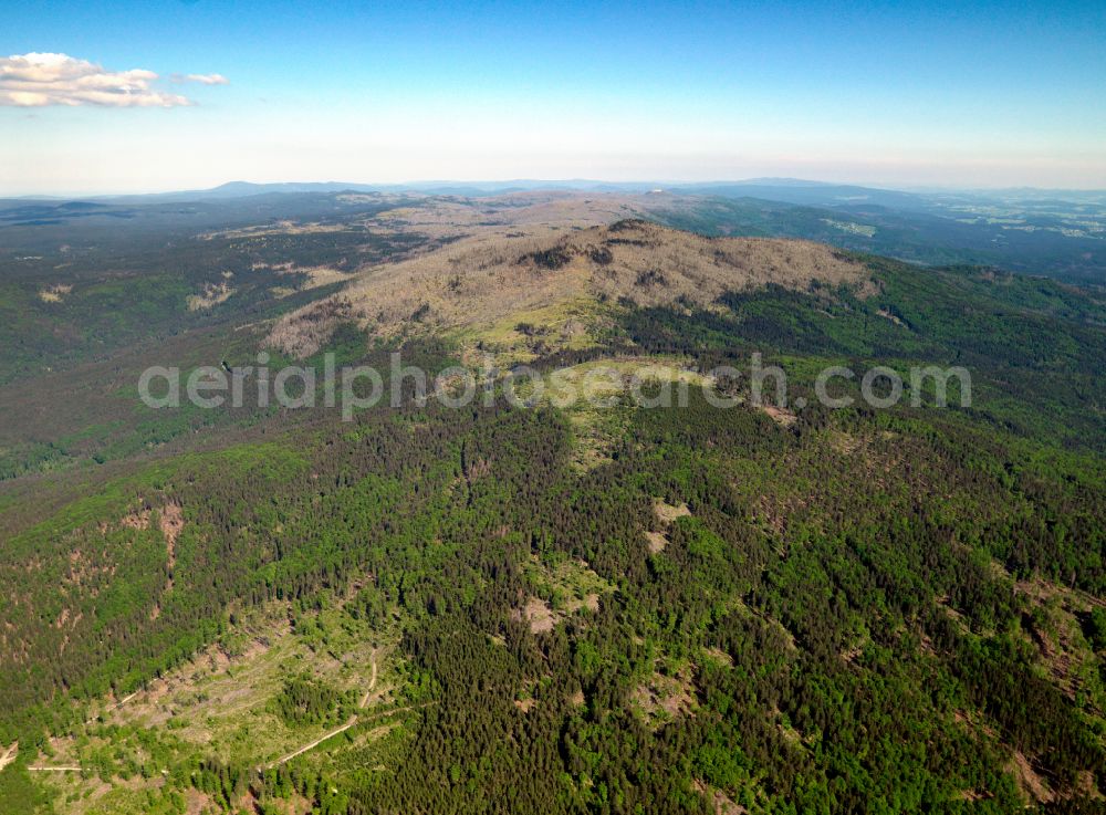 Aerial photograph Frauenau - Forest areas in in Frauenau in the state Bavaria, Germany