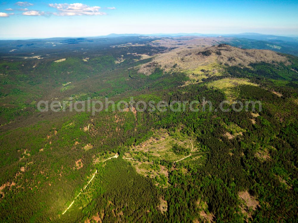 Frauenau from above - Forest areas in in Frauenau in the state Bavaria, Germany