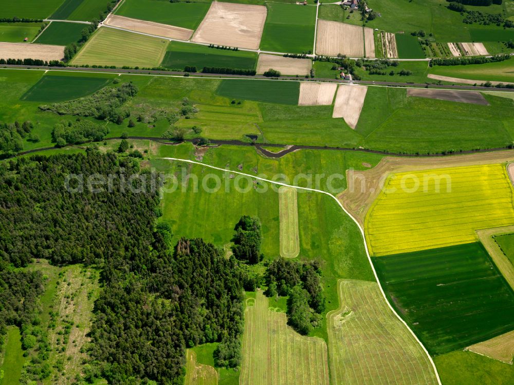 Hochdorf from the bird's eye view: Forest areas in in Hochdorf in the state Baden-Wuerttemberg, Germany
