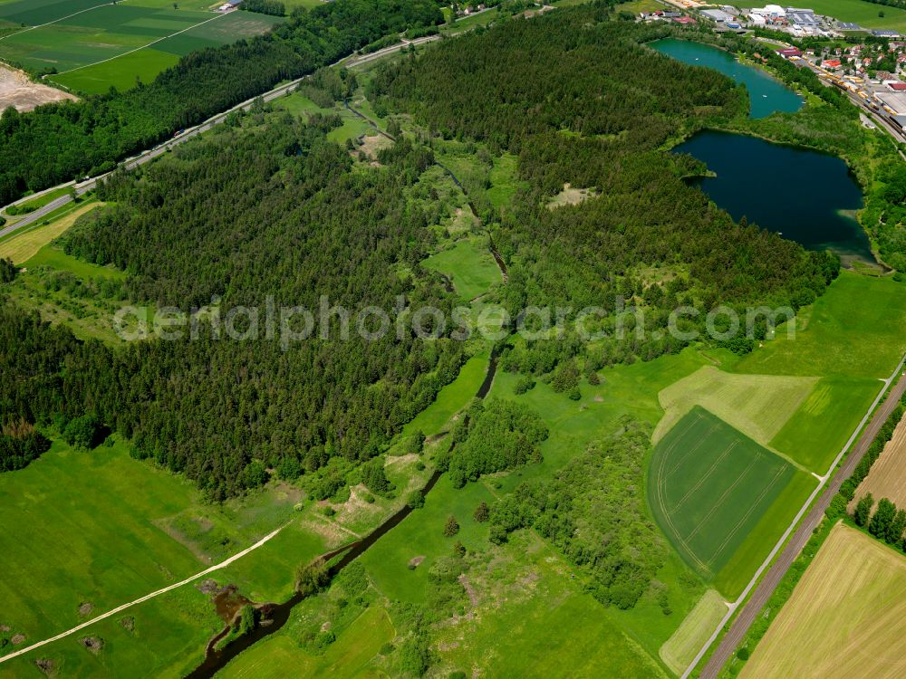 Aerial image Hochdorf - Forest areas in in Hochdorf in the state Baden-Wuerttemberg, Germany