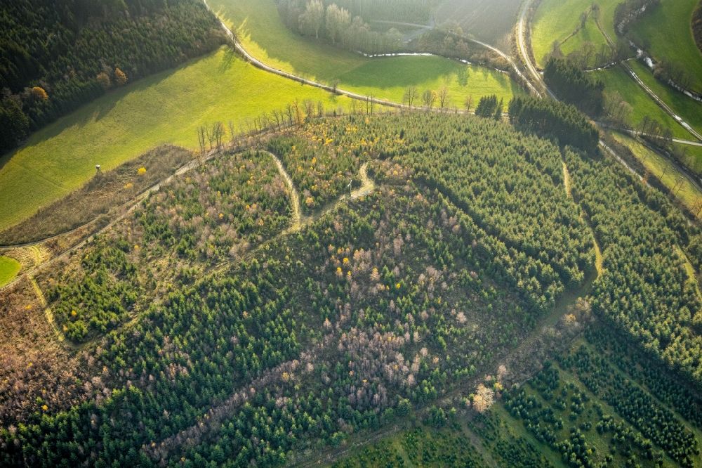 Bremke from the bird's eye view: Forest areas in on Lumberg with a summit cross in Bremke in the state North Rhine-Westphalia, Germany