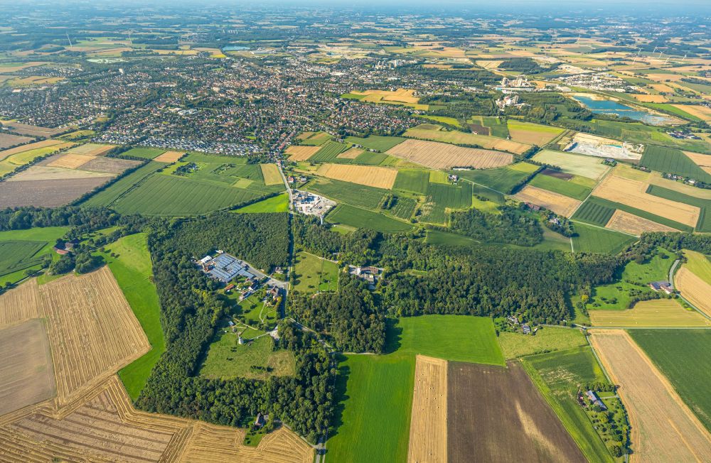 Aerial image Beckum - Forest areas in Naturerlebnispark Hoexberg in Beckum in the state North Rhine-Westphalia, Germany