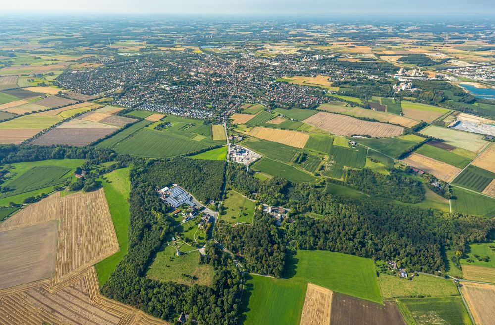 Aerial photograph Beckum - Forest areas in Naturerlebnispark Hoexberg in Beckum in the state North Rhine-Westphalia, Germany