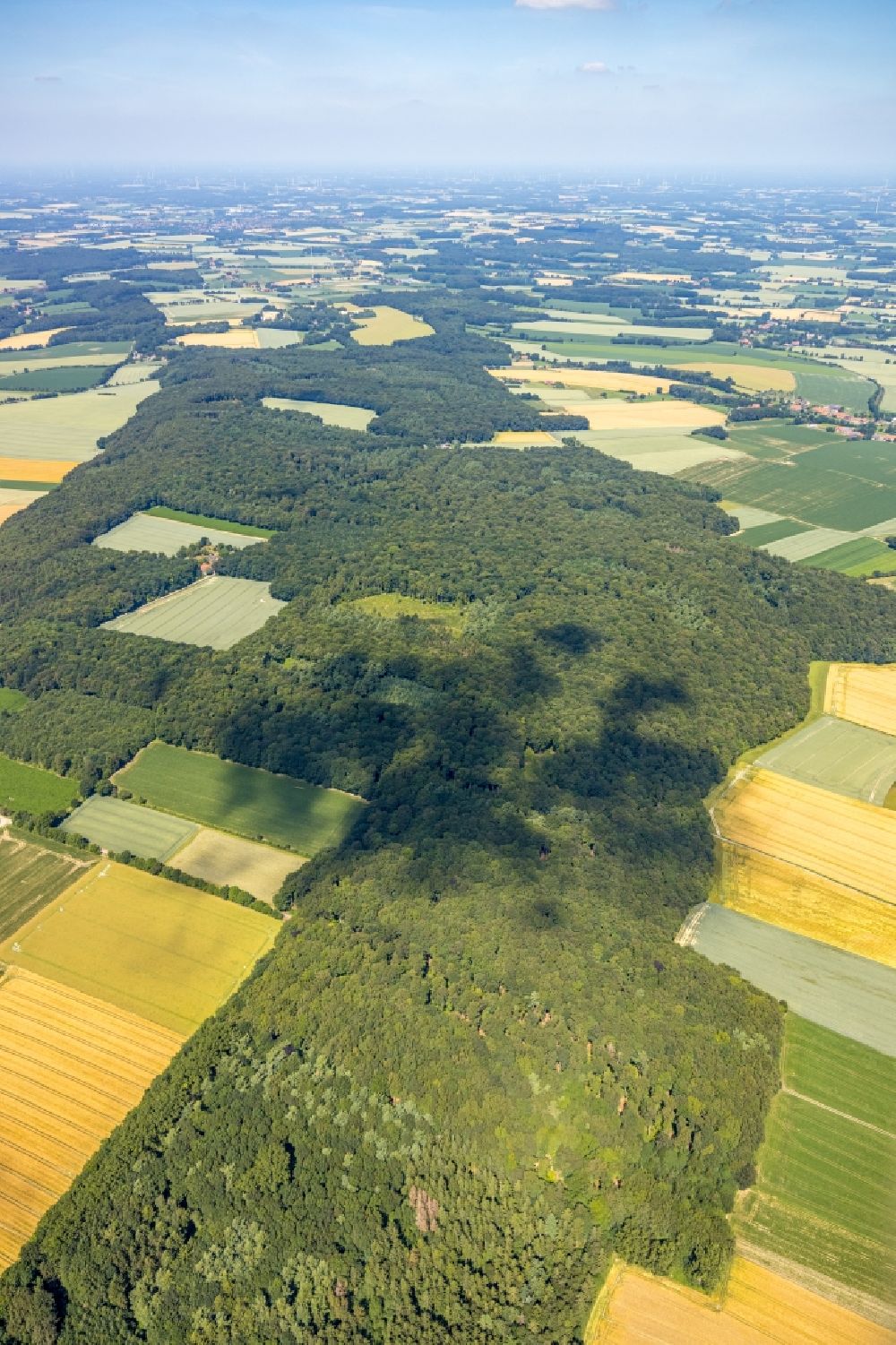 Nottuln from the bird's eye view: Forest areas in in Nottuln in the state North Rhine-Westphalia, Germany