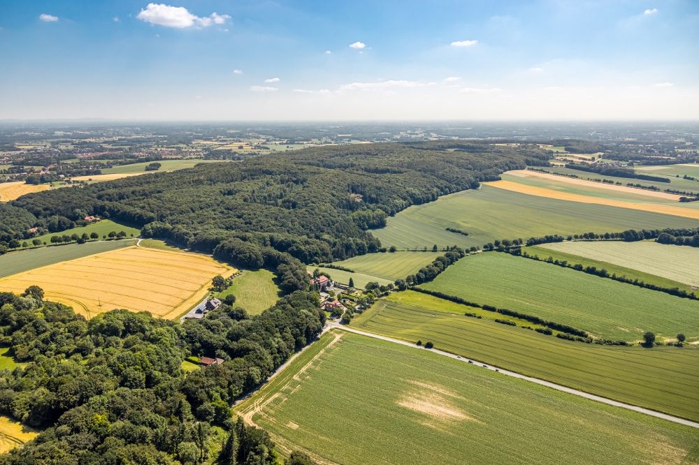 Aerial photograph Nottuln - Forest areas in in Nottuln in the state North Rhine-Westphalia, Germany