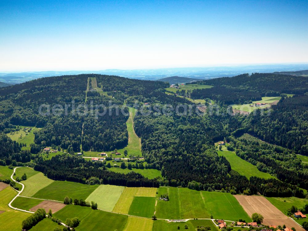 Oberfrauenwald from the bird's eye view: Forest areas in in Oberfrauenwald in the state Bavaria, Germany