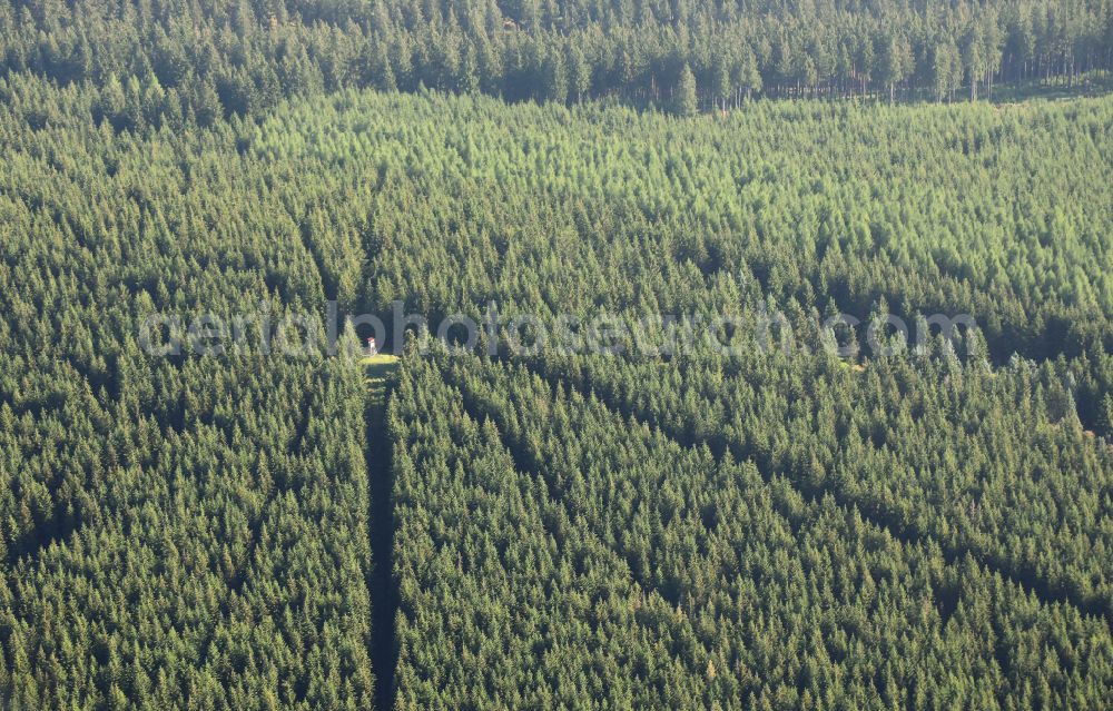 Aerial image Oberhof - Forest areas in in Oberhof at Thueringer Wald in the state Thuringia, Germany