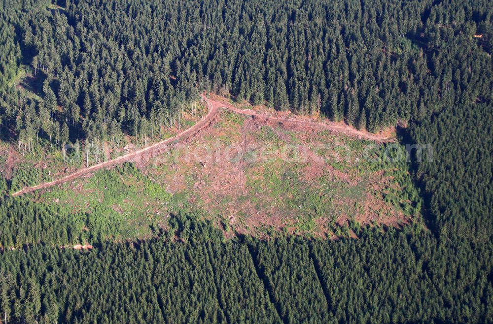 Aerial photograph Oberhof - Forest areas in in Oberhof at Thueringer Wald in the state Thuringia, Germany