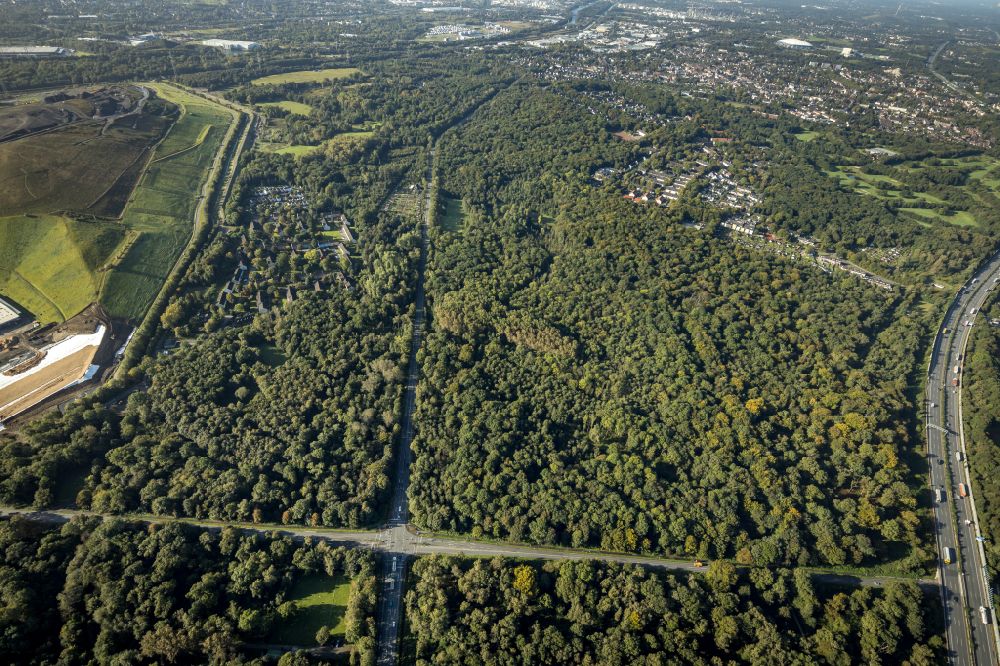 Resser Mark from the bird's eye view: Forest areas in in Resser Mark in the state North Rhine-Westphalia, Germany