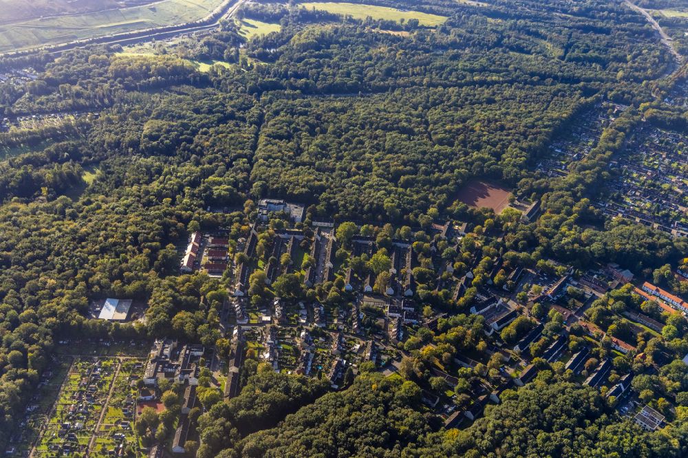 Aerial image Resser Mark - Forest areas in in Resser Mark in the state North Rhine-Westphalia, Germany