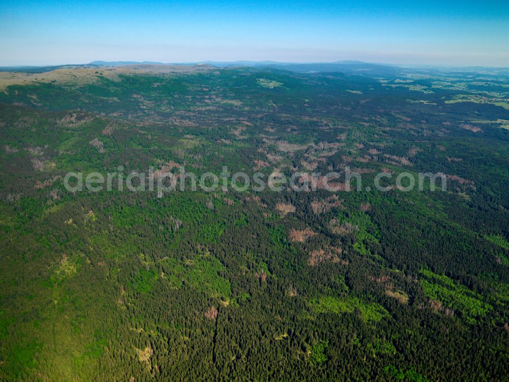Aerial photograph Sankt Oswald - Forest areas in in Sankt Oswald in the state Bavaria, Germany
