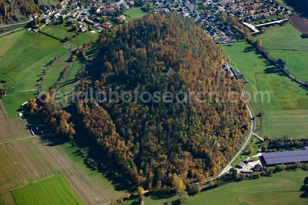 Aerial image Schelklingen - Forest areas in in Schelklingen in the state Baden-Wuerttemberg, Germany