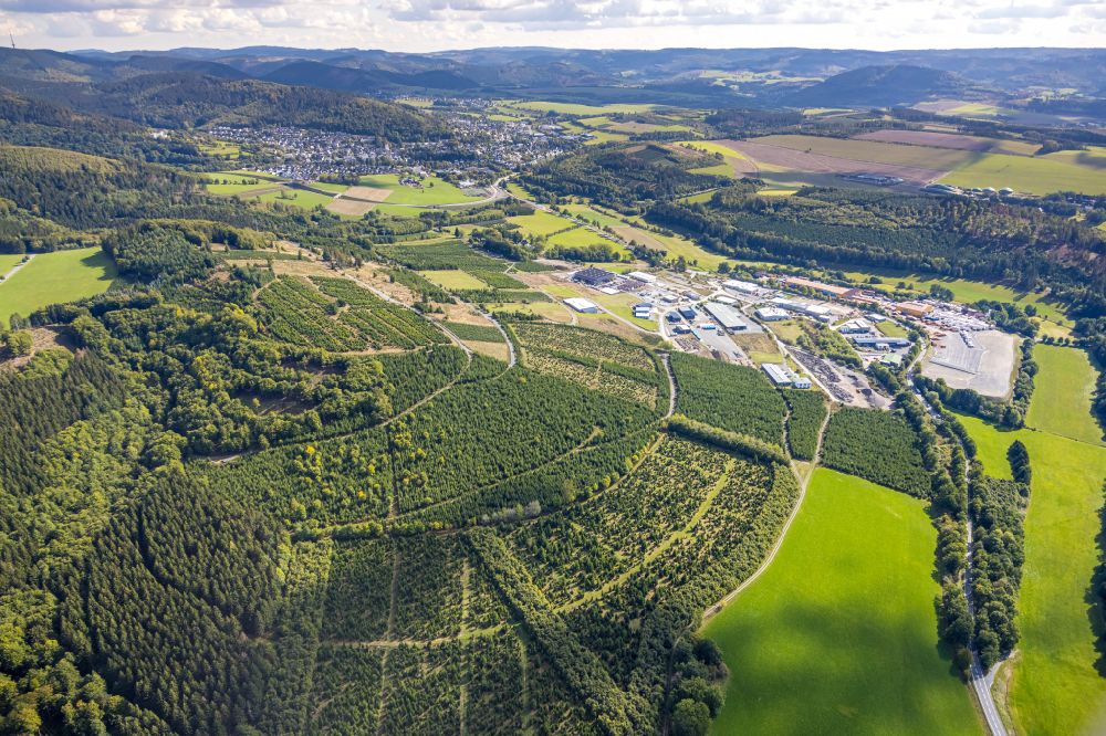 Aerial photograph Schmallenberg - Forest areas in in Schmallenberg at Sauerland in the state North Rhine-Westphalia, Germany