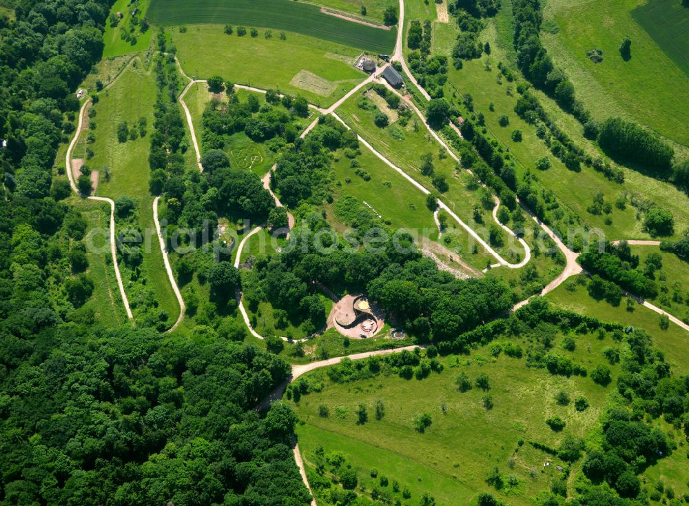 Steinbach am Donnersberg from the bird's eye view: Forest areas in in Steinbach am Donnersberg in the state Rhineland-Palatinate, Germany